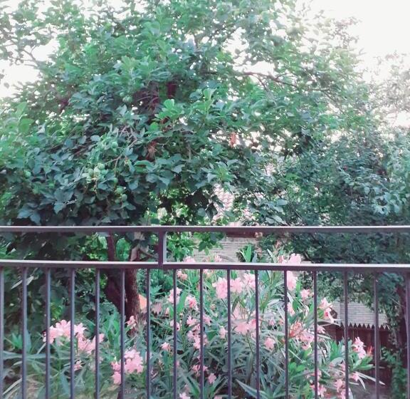 پانسیون Kizikis Kari