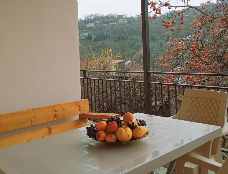 پانسیون Kizikis Kari