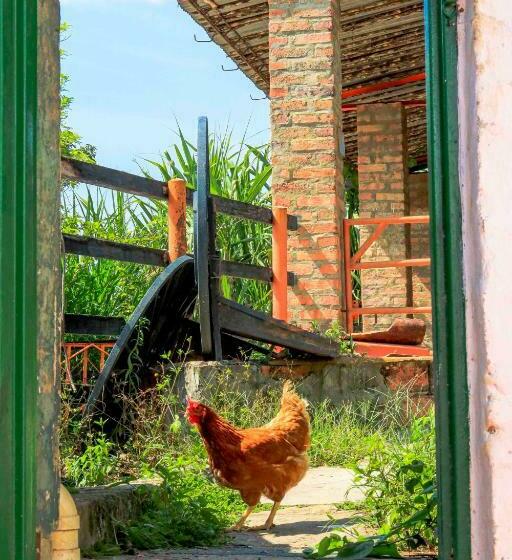 פנסיון La Hacienda