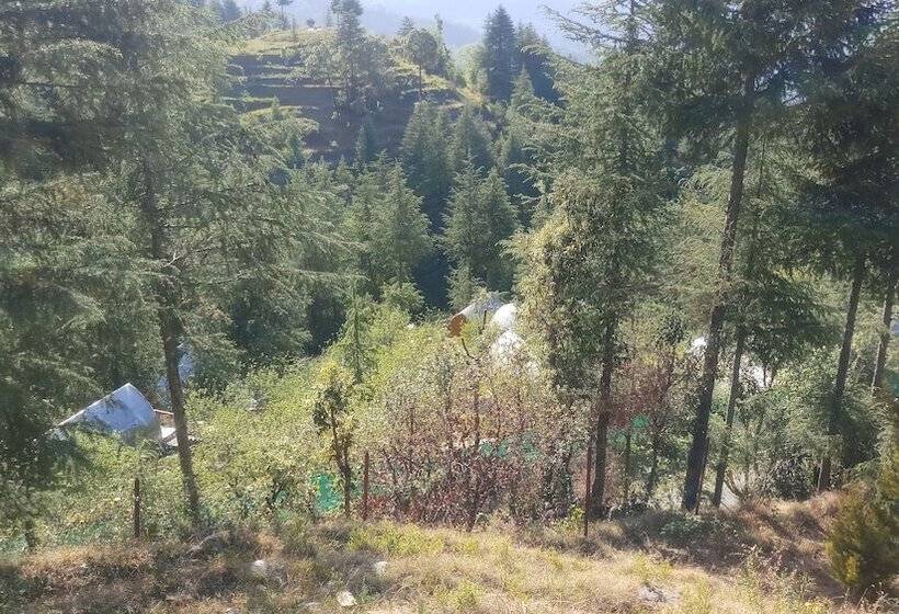 리조트 Clarks Exotica Rajgarh