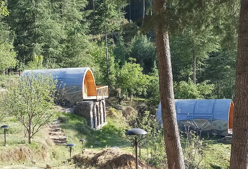 리조트 Clarks Exotica Rajgarh