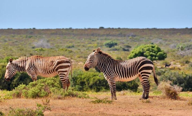 リゾートホテル De Hoop Collection   Equipped Cottages