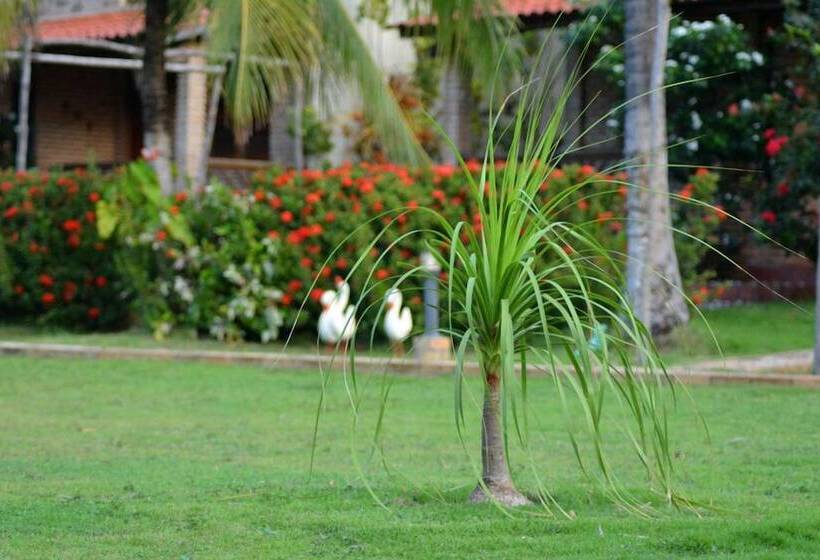 ユースホステル Pousada Arco Mundial