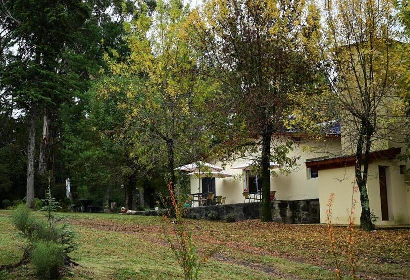 הוסטל Posada Inguz