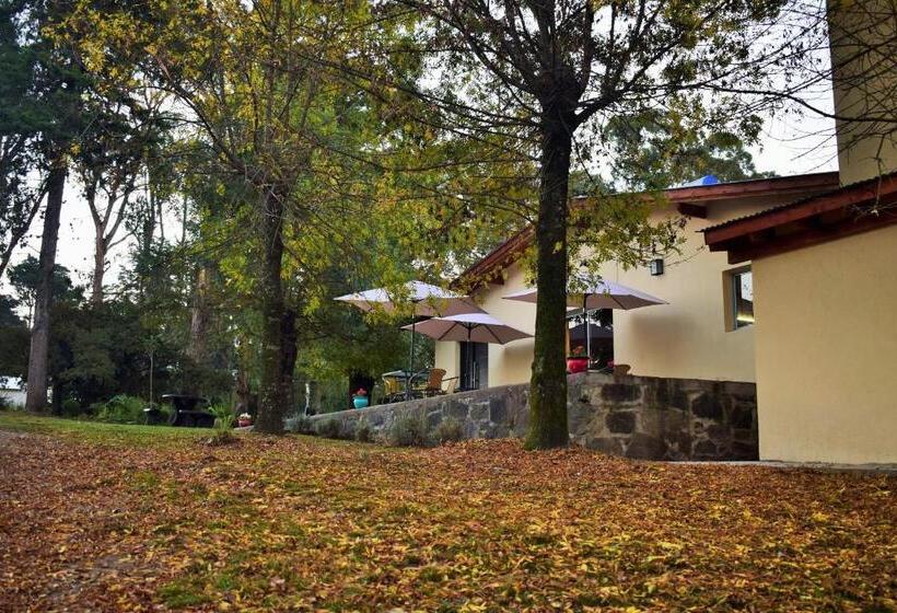 הוסטל Posada Inguz