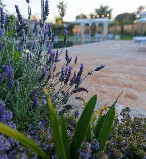 ベッドアンドブレックファースト Borgo Dei Lecci Puglia