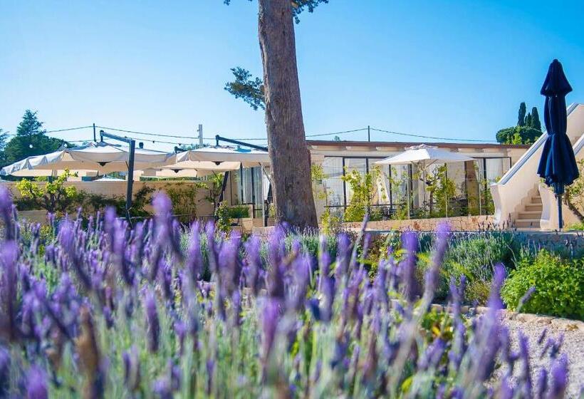 ベッドアンドブレックファースト Borgo Dei Lecci Puglia