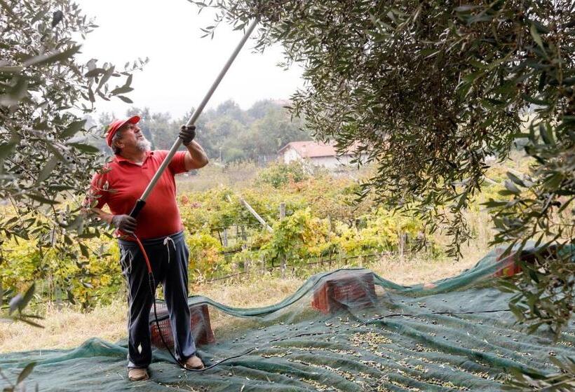 ホテル Agriturismo Agricamping Garda Natura