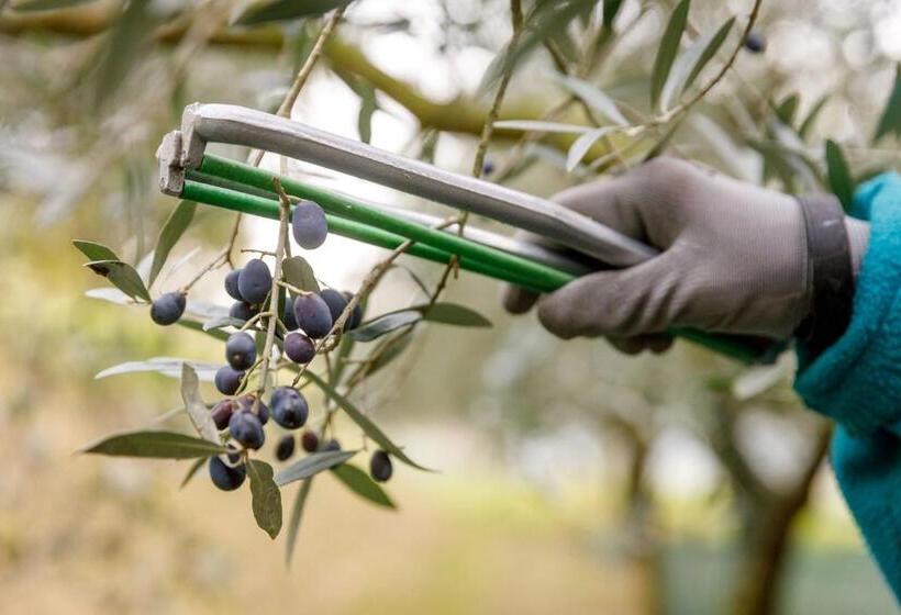 ホテル Agriturismo Agricamping Garda Natura