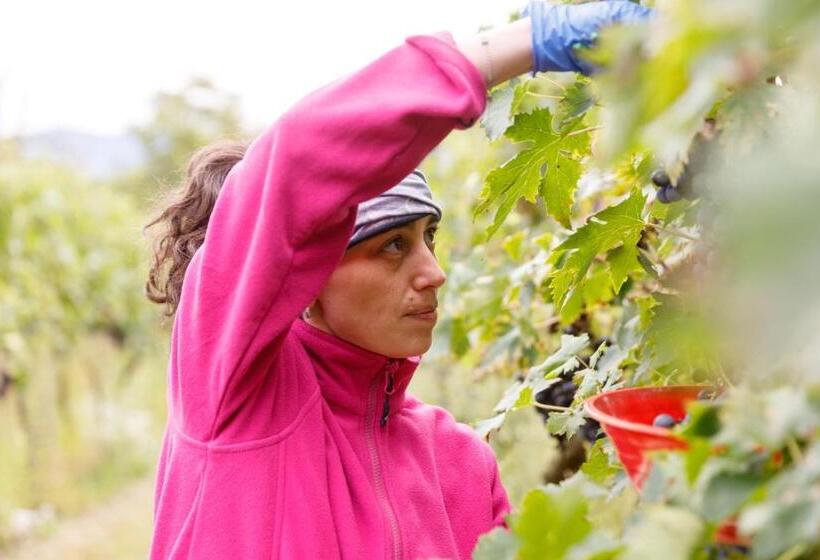 ホテル Agriturismo Agricamping Garda Natura