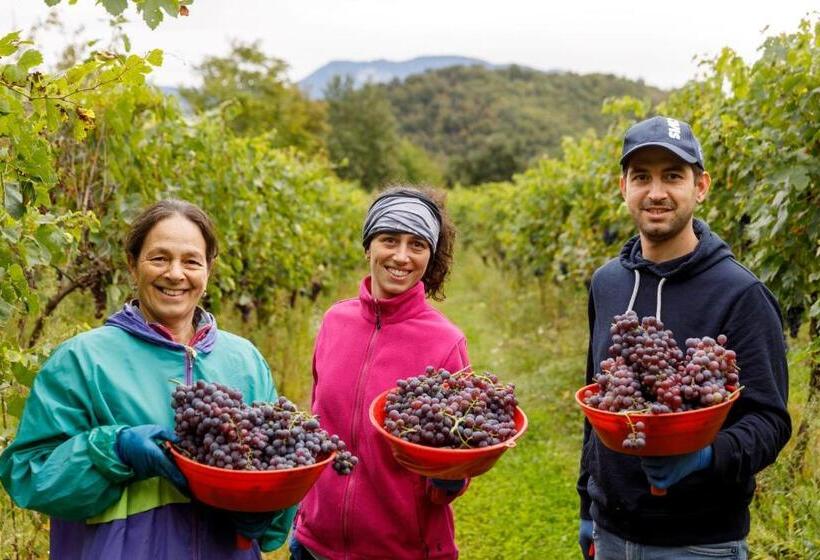 ホテル Agriturismo Agricamping Garda Natura