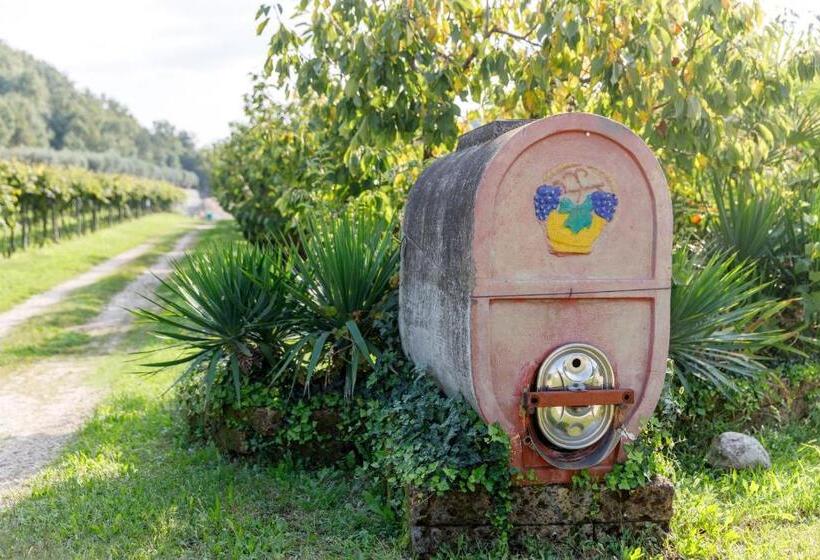 ホテル Agriturismo Agricamping Garda Natura