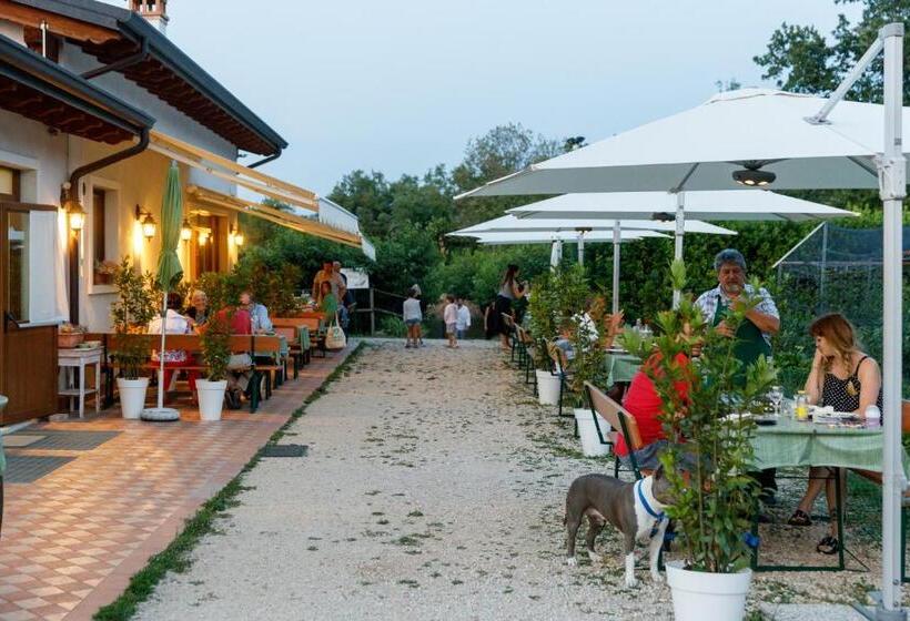ホテル Agriturismo Agricamping Garda Natura