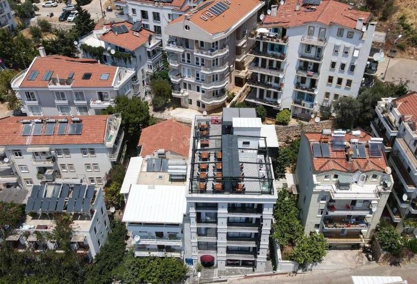 בית מלון כפרי Fly Inn