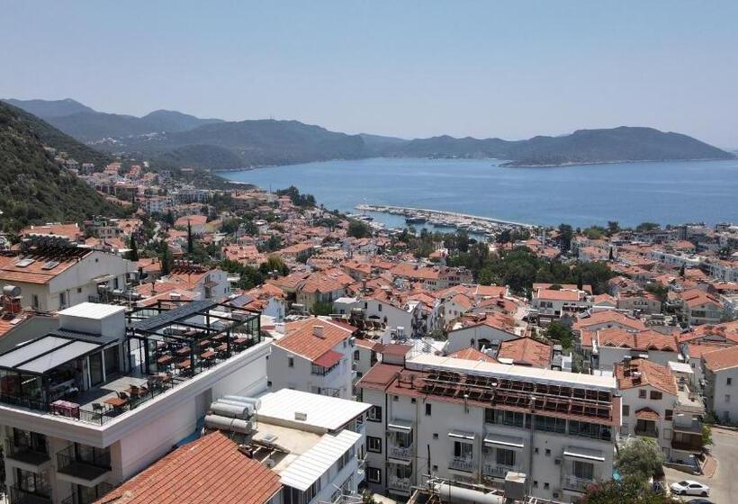 בית מלון כפרי Fly Inn