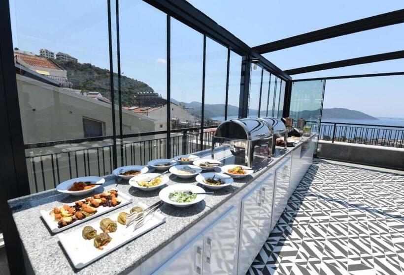 בית מלון כפרי Fly Inn