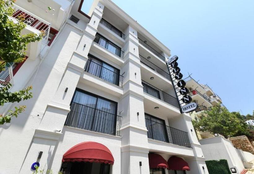 בית מלון כפרי Fly Inn