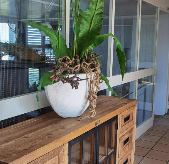 فندق Herberge See Rorschach