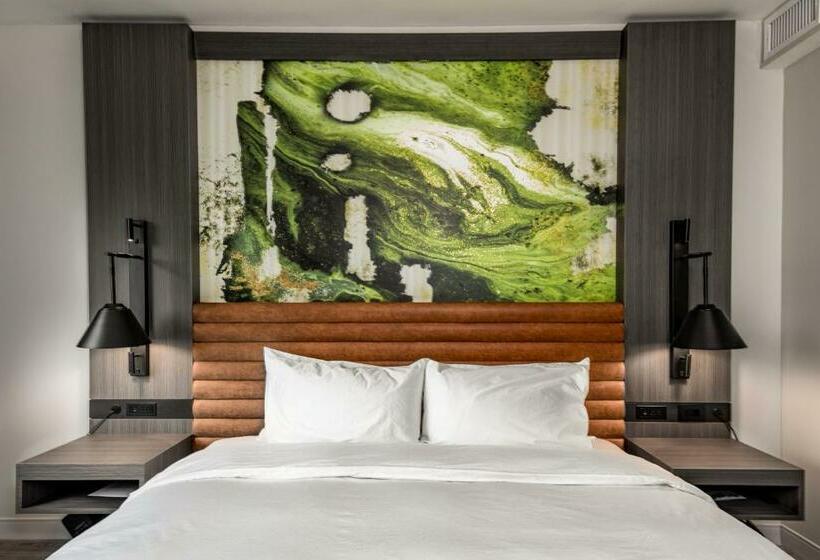 酒店 Hyatt Centric Charlotte Southpark