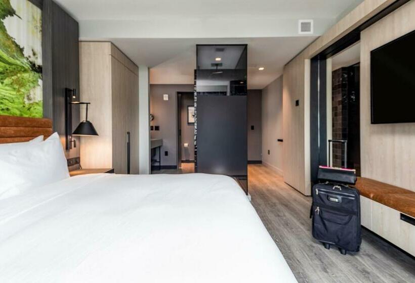 酒店 Hyatt Centric Charlotte Southpark