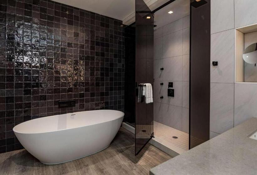 酒店 Hyatt Centric Charlotte Southpark