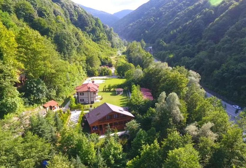 호텔 Naturkoy Sapanca