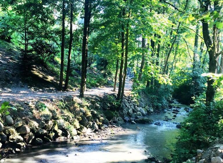 호텔 Naturkoy Sapanca