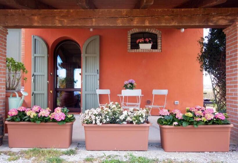 膳宿费 Cà Vincenzona, Wellness Area