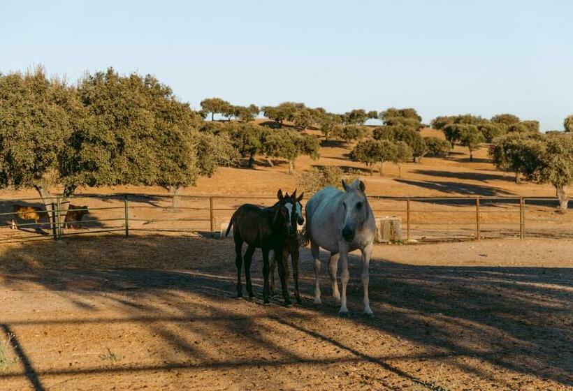 منتجع Herdade Da Caniceira