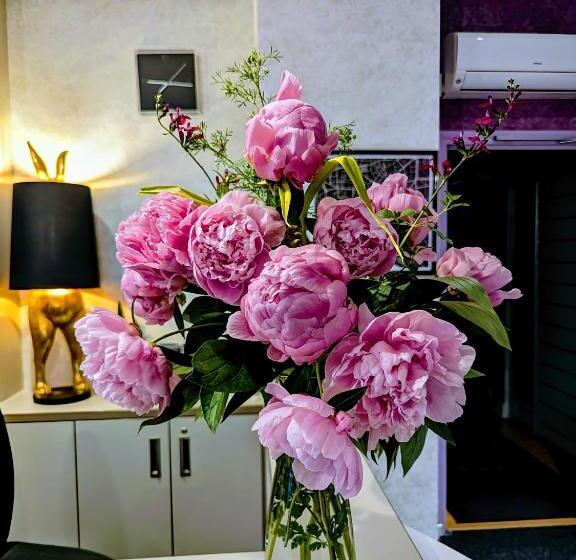 호텔 Arverna Vichy Clt