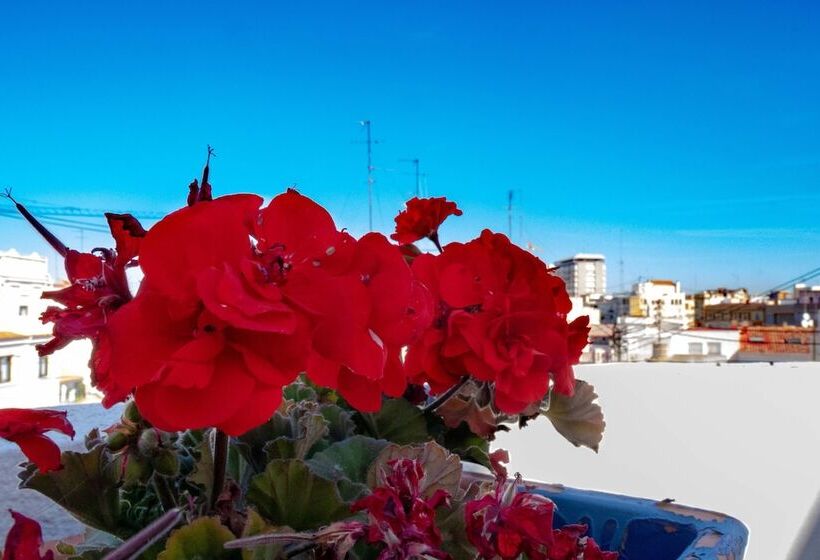 مبيت وإفطار Hi Valencia Canovas