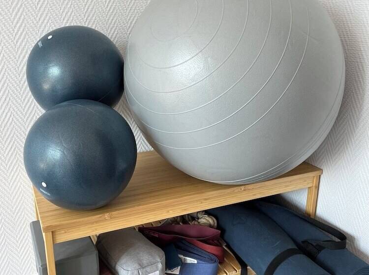 Brit Hotel Le Parc Vichy