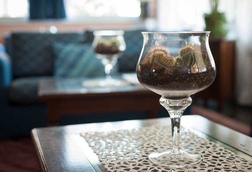 בית מלון כפרי Ariston