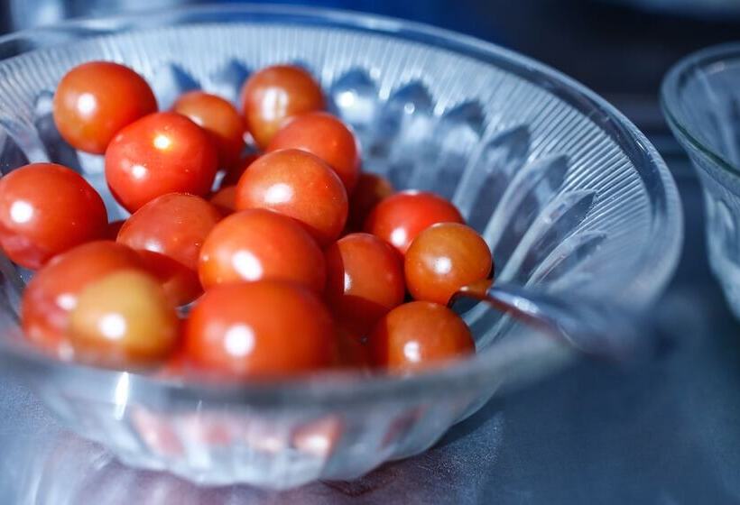 בית מלון כפרי Ariston