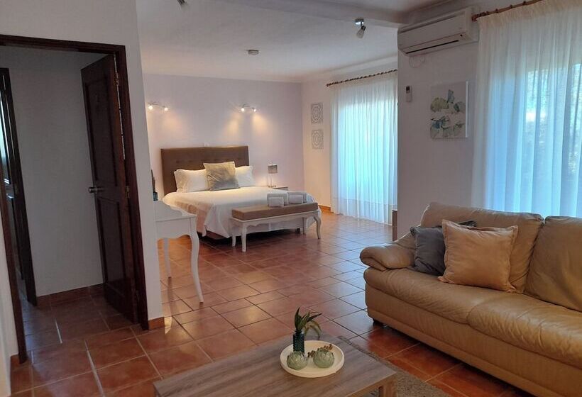 Отель Aurora Sol