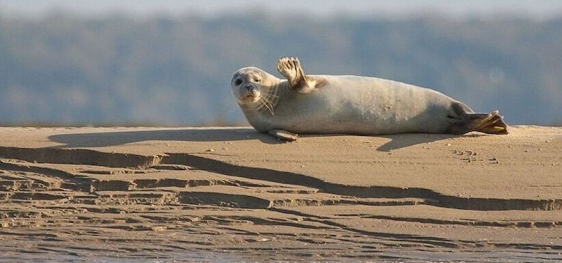 ホテル Best Western Hôtel Hermitage