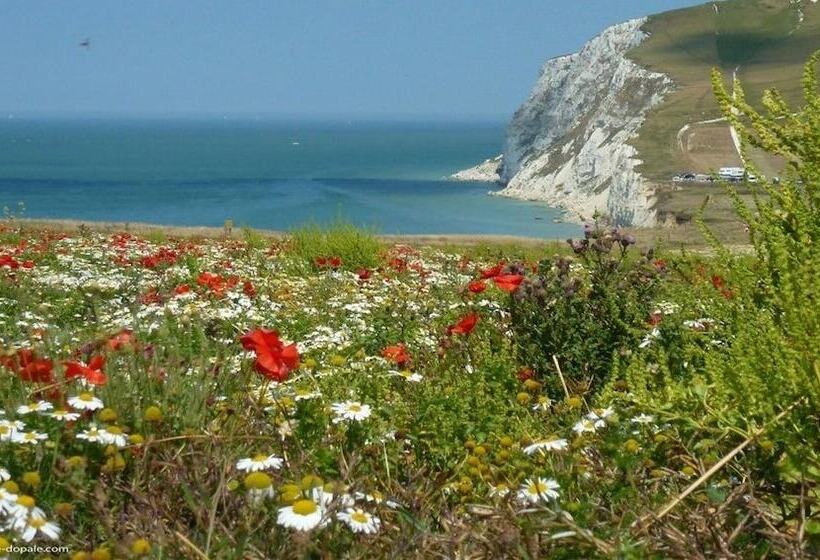 ホテル Best Western Hôtel Hermitage