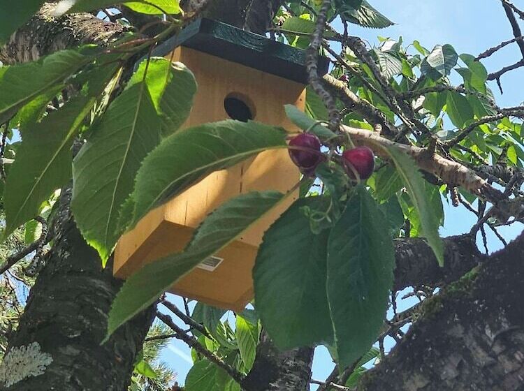 호텔 Campanile Deauville  Saint Arnoult