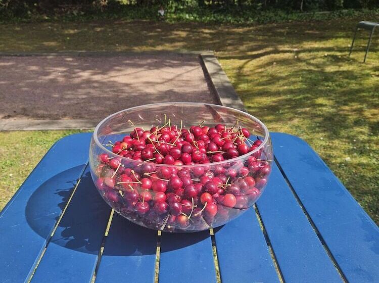 호텔 Campanile Deauville  Saint Arnoult