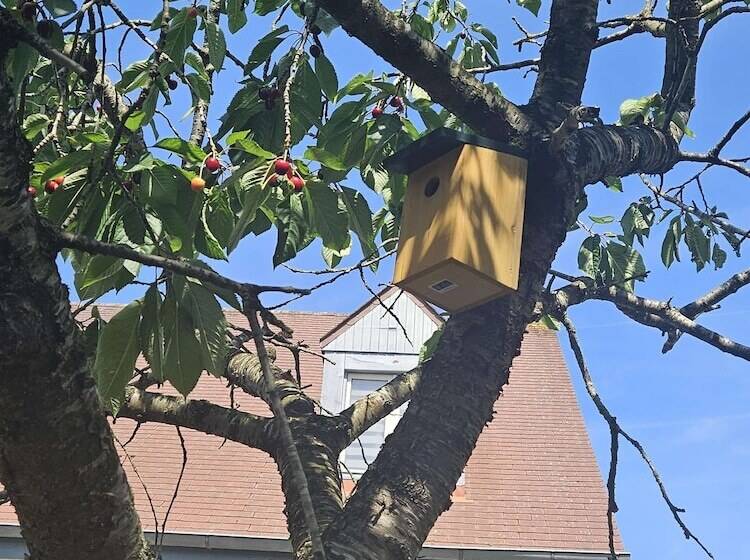 호텔 Campanile Deauville  Saint Arnoult