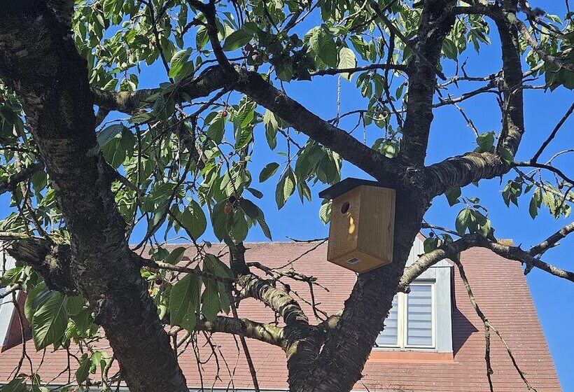Отель Campanile Deauville  Saint Arnoult