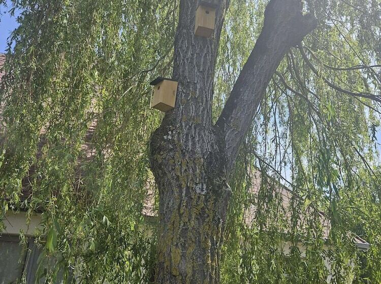 Отель Campanile Deauville  Saint Arnoult