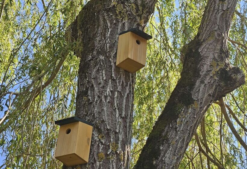 호텔 Campanile Deauville  Saint Arnoult