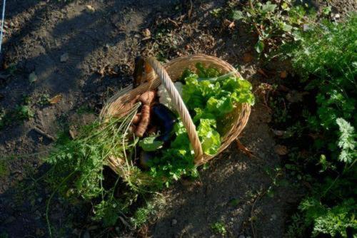 فندق Casa De Requeixo