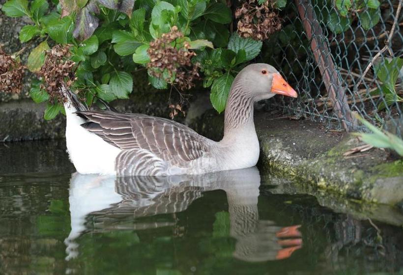 فندق Casa De Requeixo