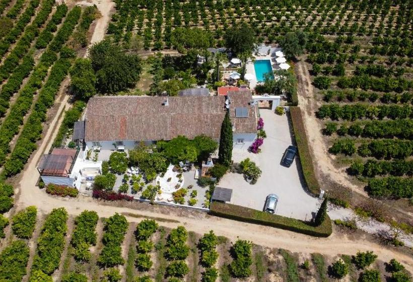בית מלון כפרי Casa Vale Del Rei