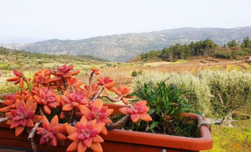 בית מלון כפרי Outros Tempos   Turismo De Aldeia