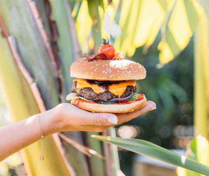 בית מלון כפרי Hôtel Font Mourier