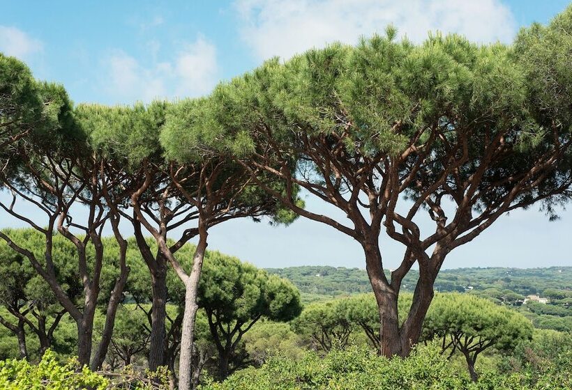 فندق Hôtel Villa Marie Saint Tropez