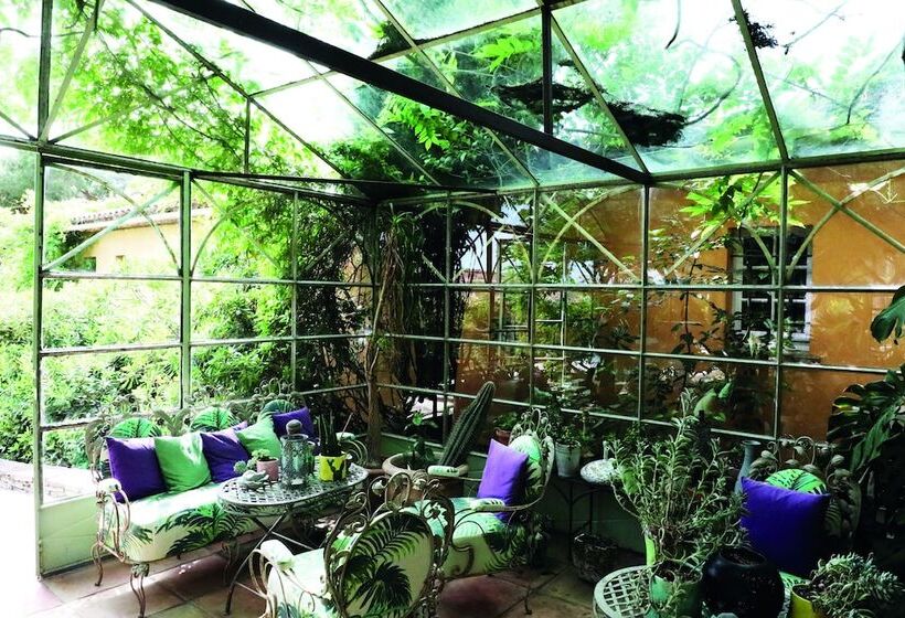 酒店 Hôtel Villa Marie Saint Tropez